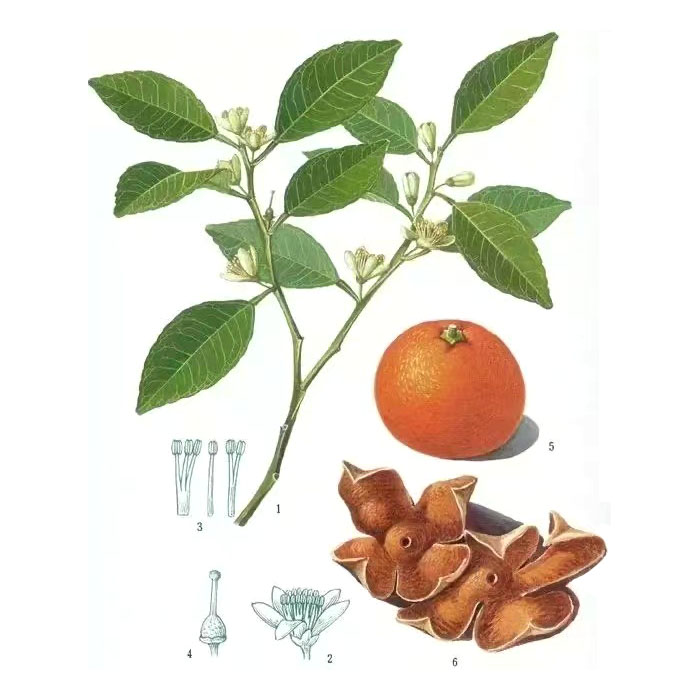 Etil isobalerato naturala CAS 108-64-5